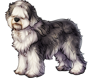 Olde English Sheepdog