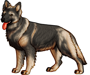 Shiloh Shepherd