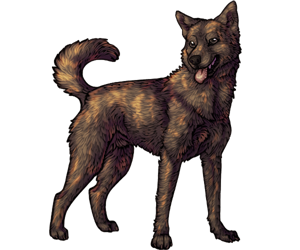 Kai Inu Kai Inu