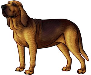 Bloodhound